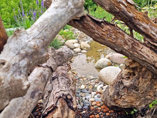 Dead wood in front of gravel